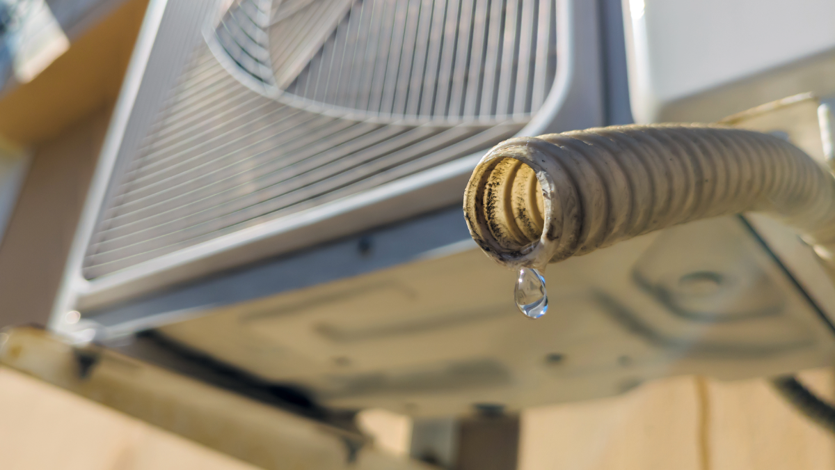 DIY Clogged HVAC Drain Line Solutions (Before Calling a Pro) 6 clogged hvac drain line ()